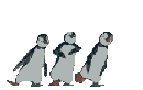 pinguindanse